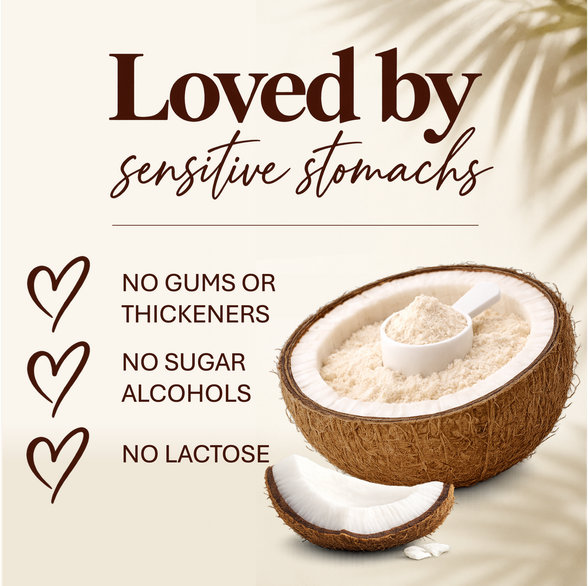 Coconut Protein Coconut Creme  600g